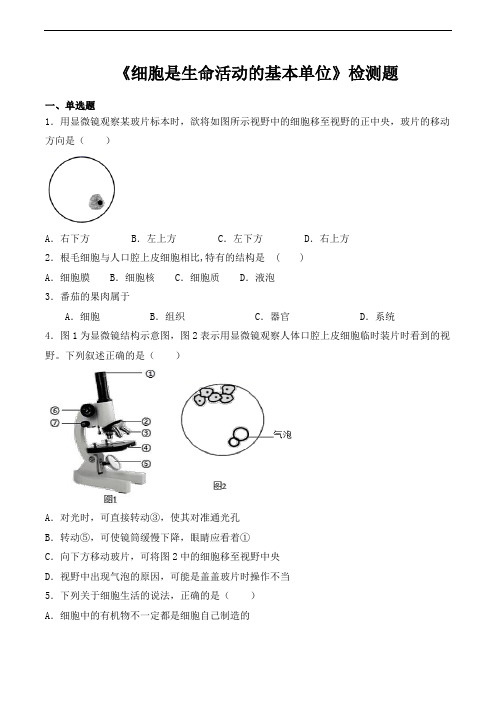 人教版初中生物七年级上册第二单元第一章《细胞是生命活动的基本单位》检测题(含答案)