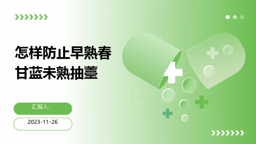 怎样防止早熟春甘蓝未熟抽薹