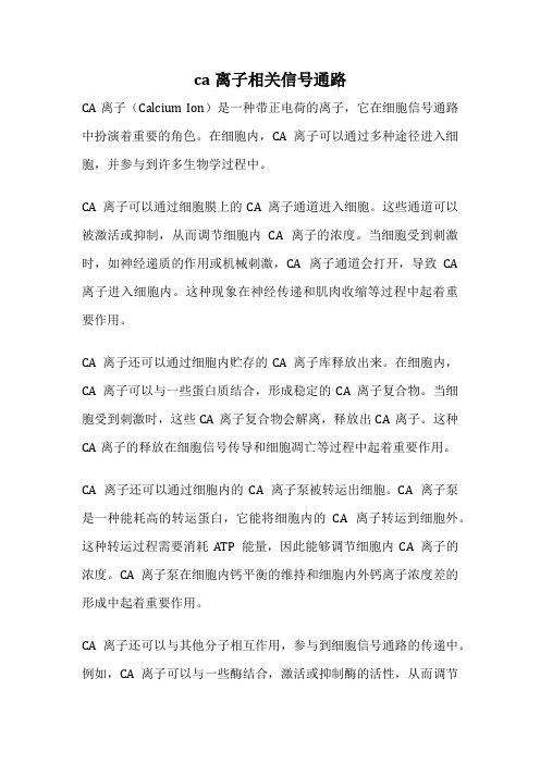 ca离子相关信号通路