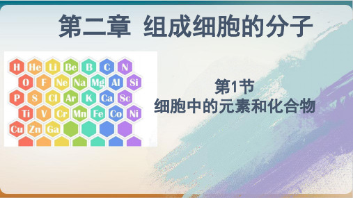 细胞中的元素和化合物 上课课件 【新教材】新人教版高中生物必修一(含视频+思维导图)