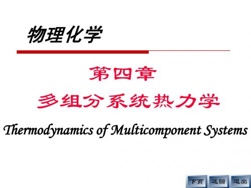 04多组分体系热力学