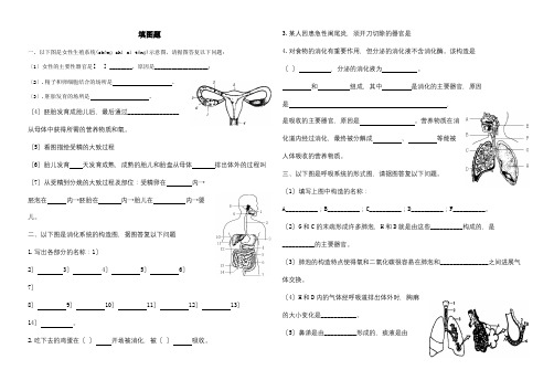 中考生物七下复习资料识图题试题(共8页)