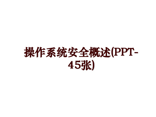 操作系统安全概述(PPT-45张)