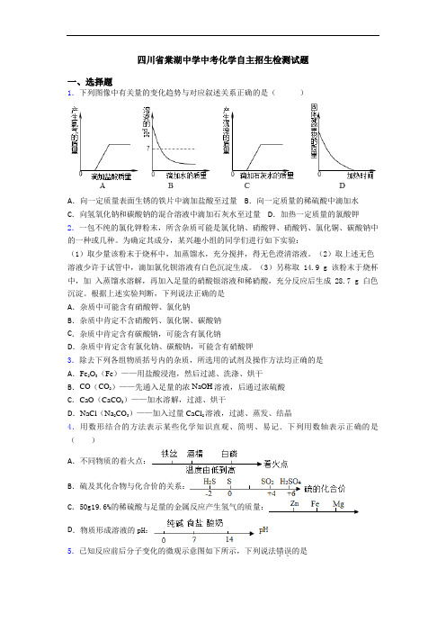 四川省棠湖中学中考化学自主招生检测试题