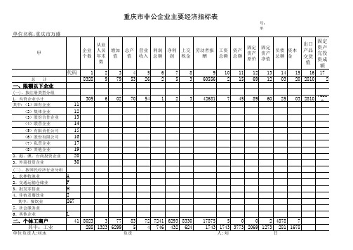 2011年非公有制经济年报
