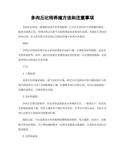 多肉丘比特养殖方法和注意事项