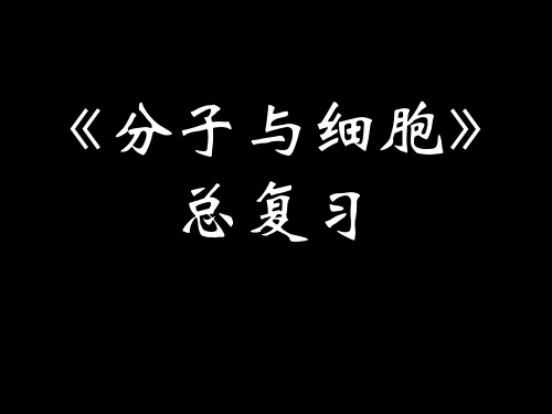 必修1高中生物_模块一：分子与细胞总复习课件