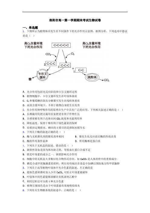 洛阳市高一第一学期期末考试生物试卷