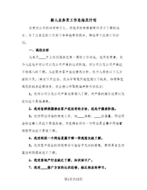 新人业务员工作总结及计划(7篇)