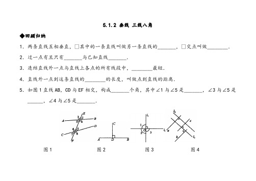 人教版七年级下册数学垂线检测题