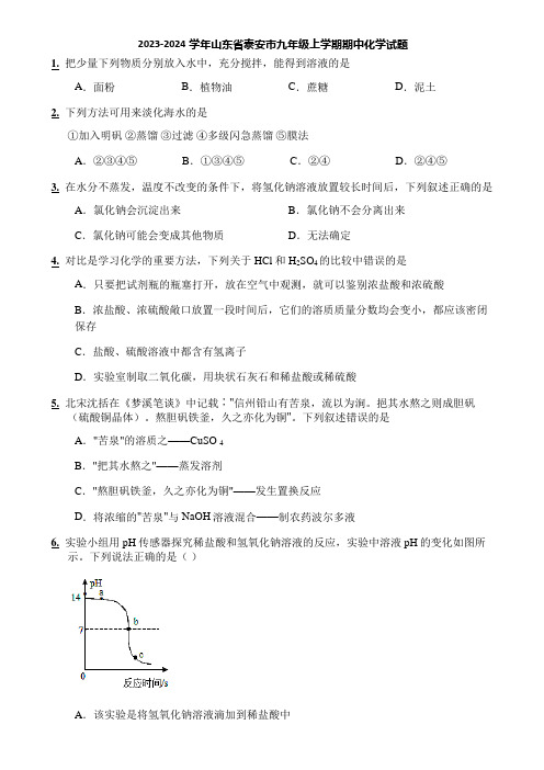 2023-2024学年山东省泰安市九年级上学期期中化学试题