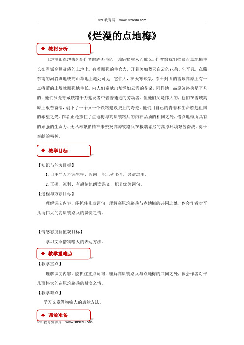 【309教育网优选】西南师大版小学语文六年级上册《烂漫的点地梅》教案教学设计