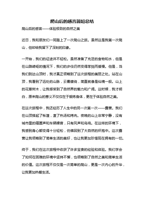 爬山后的感言简短总结