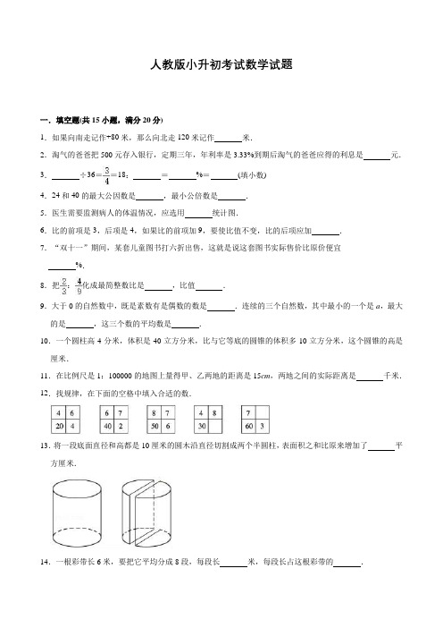 人教版六年级数学小升初考试卷含答案解析