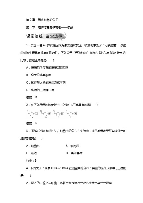 人教版高中生物必修一检测：第2章 第3节 遗传信息的携带者——核酸 word版含答案