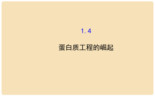 高中生物 精讲优练课型 专题1 基因工程 1.4 蛋白质工程的崛起同课异构课件 新人教版选修3