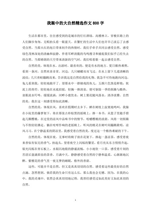 精选我眼中的大自然作文800字(1)