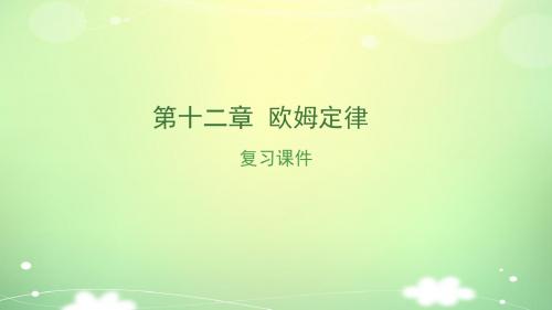 湖南省中考物理复习(课件)欧姆定律