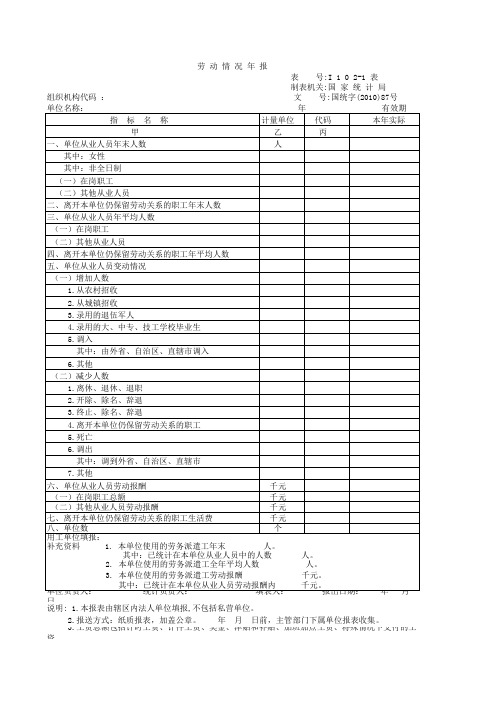 劳动情况年报表