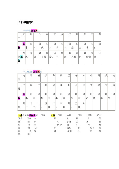 天干地支的五行属性与身体部位对应表