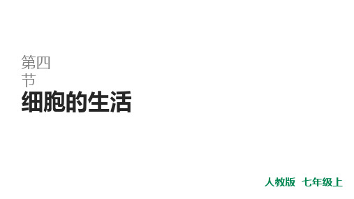 人教版七年级生物上册第四节细胞的生活