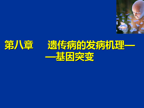 动物医学-动物遗传学第八章《遗传病的发病机理-基因突变》课件