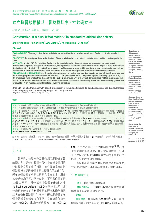 建立桡骨缺损模型：骨缺损标准尺寸的确立