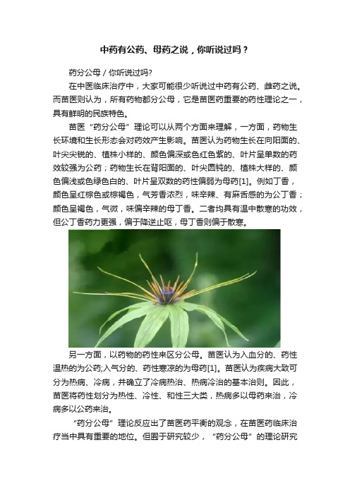 中药有公药、母药之说，你听说过吗？