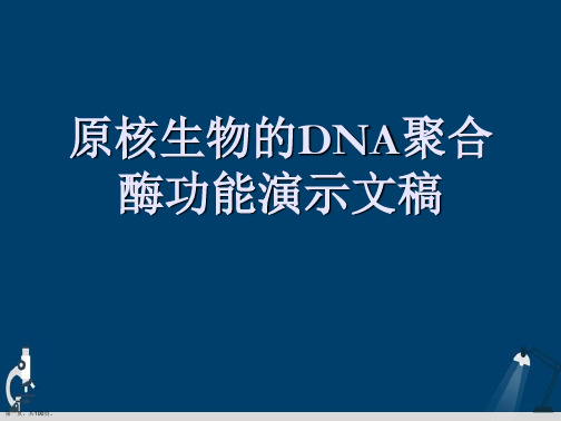 原核生物的DNA聚合酶功能演示文稿