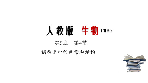 捕获光能的色素和结构(课件)-2019-2020学年上学期高一生物(人教版必修1)(共36张PPT)