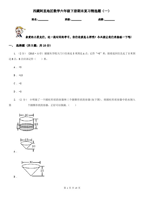 西藏阿里地区数学六年级下册期末复习精选题(一)