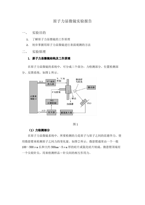 原子力显微镜