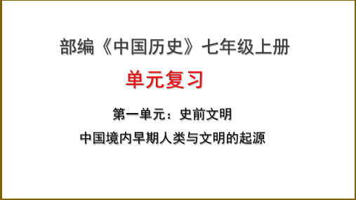 七年级上册第1单元 史前时期复习课件