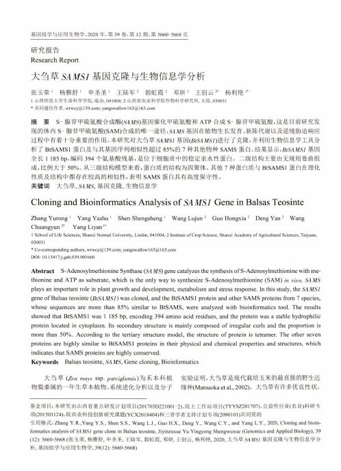 大刍草SAMS1基因克隆与生物信息学分析