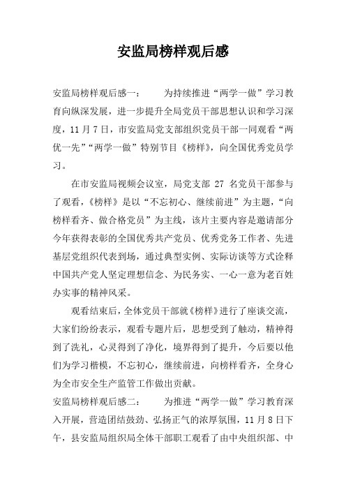 安监局榜样观后感