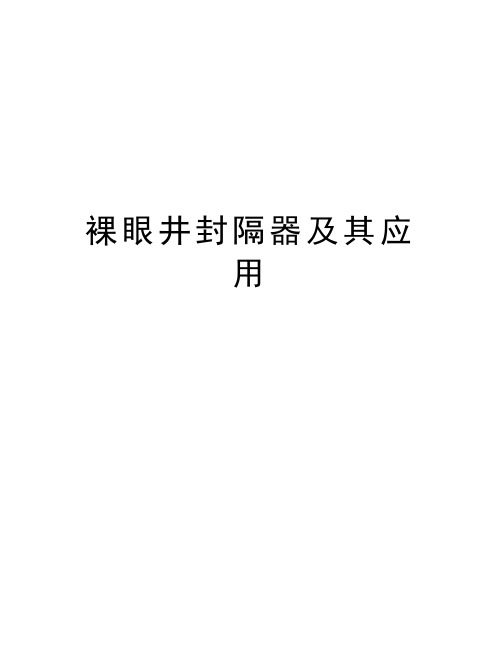 裸眼井封隔器及其应用资料讲解