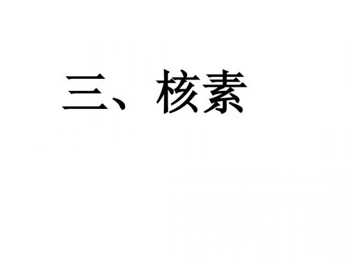 1-3核素