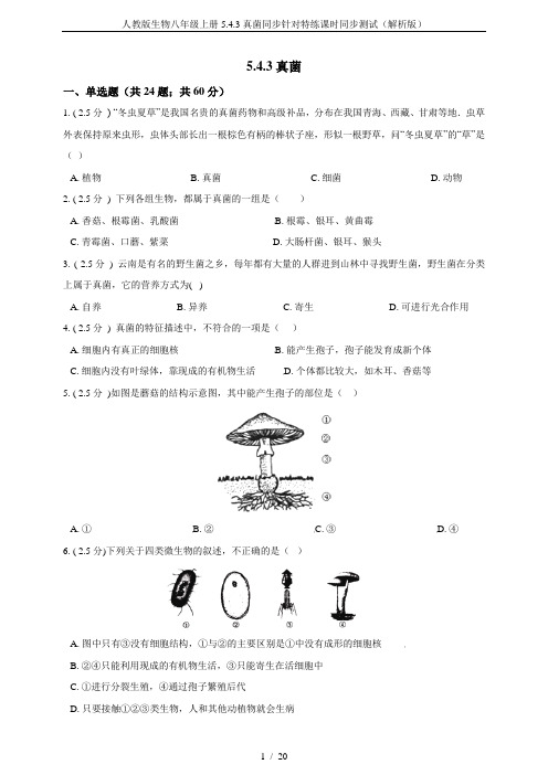 人教版生物八年级上册5.4.3真菌同步针对特练课时同步测试(解析版)