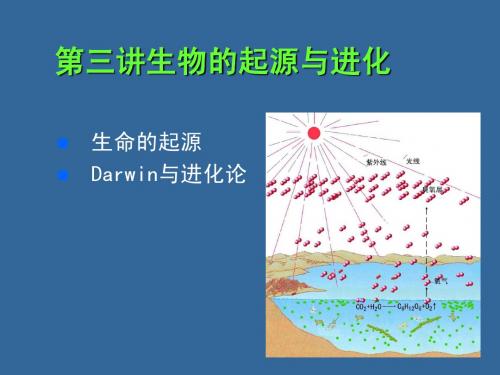 生物的起源与进化