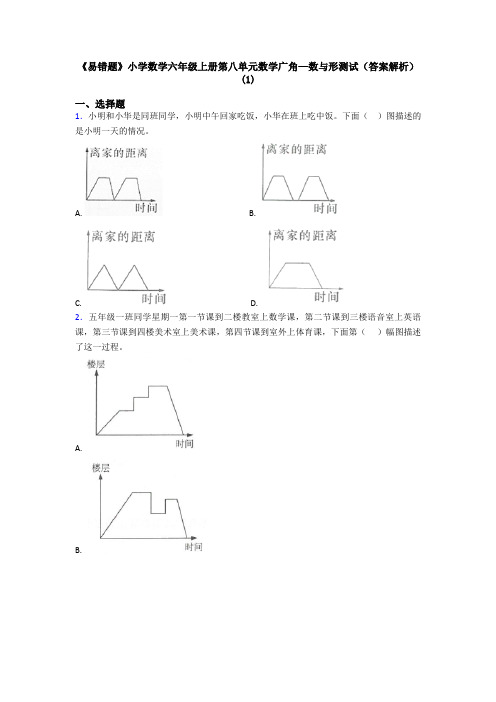 《易错题》小学数学六年级上册第八单元数学广角—数与形测试(答案解析)(1)