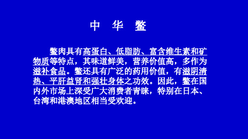 中华鳖的养殖