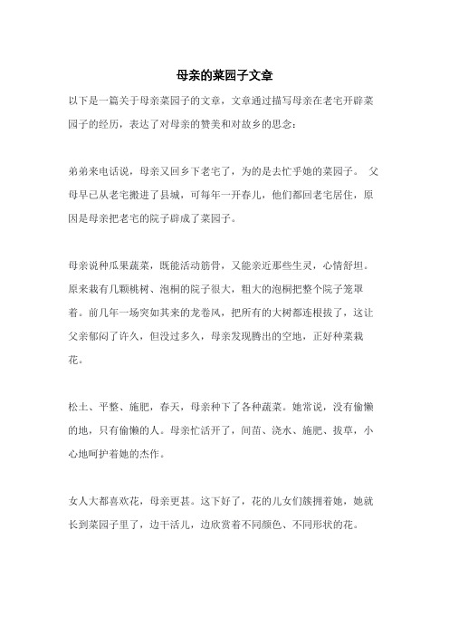 母亲的菜园子文章