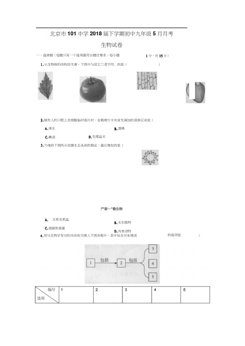 北京市一零一中学2018届九年级5月月考5月月考生物试题(附答案)$848819