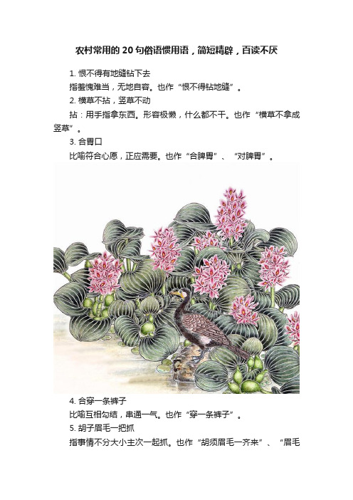 农村常用的20句俗语惯用语，简短精辟，百读不厌