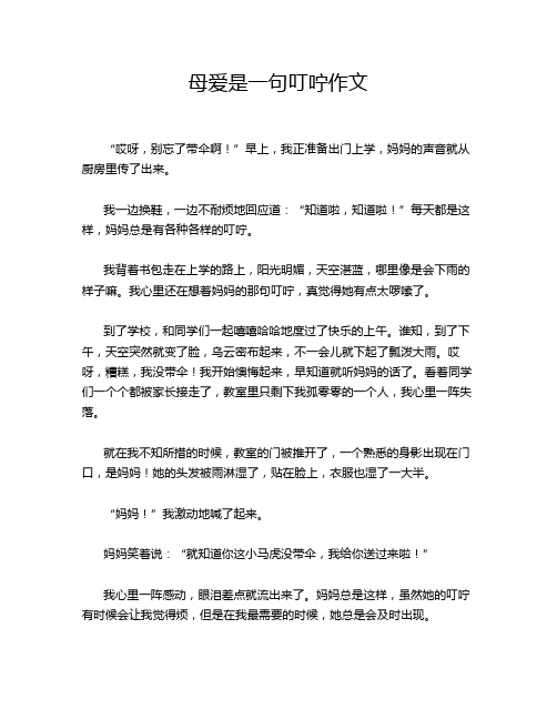 母爱是一句叮咛作文