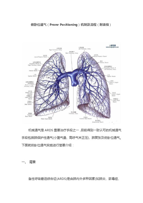 俯卧位通气(Prone Positioning)机制及流程(附表格)