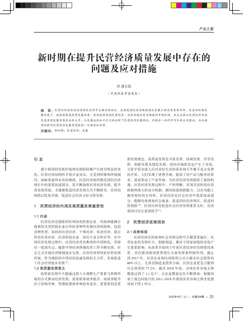 新时期在提升民营经济质量发展中存在的问题及应对措施