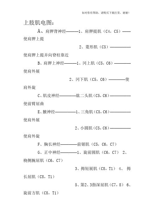 肌肉名称功能及神经支配