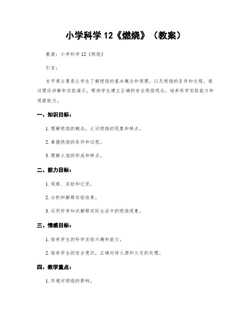 小学科学12《燃烧》(教案)