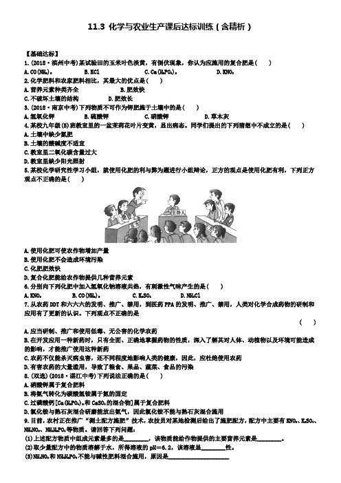 鲁教版九年级化学下册精练11.3化学与农业生产